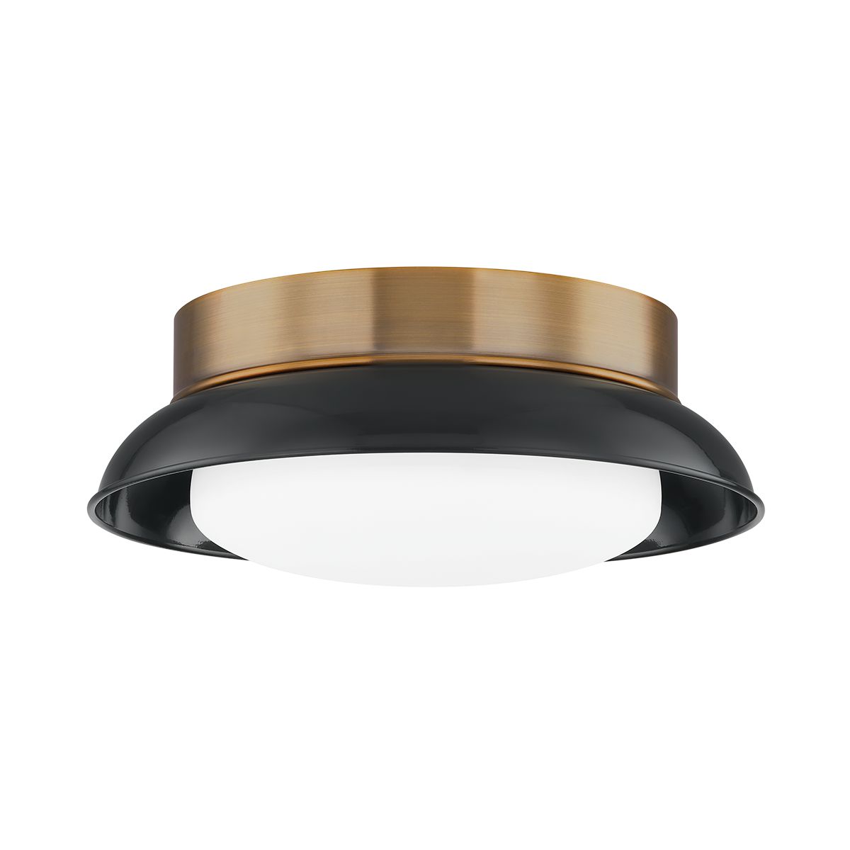 Arnie Ceiling Light - Patina Brass/Gloss Black by Troy Lighting