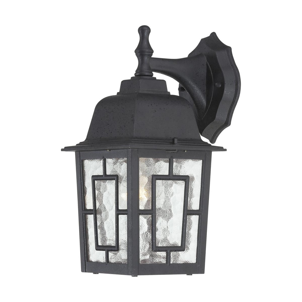 Banyan - 1 Light 12" Wall Lantern with Clear Water Glass - Textured Black Finish - Satco 60-4923