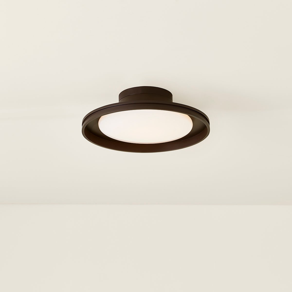 Cannes Outdoor Ceiling Light by Troy Lighting