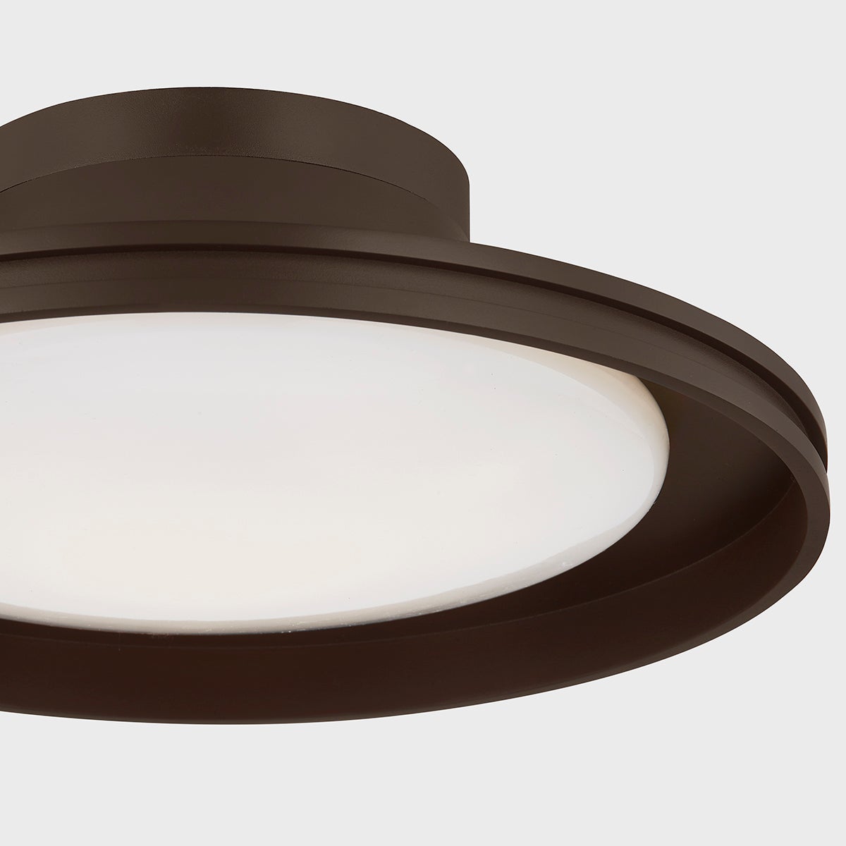Cannes Outdoor Ceiling Light by Troy Lighting