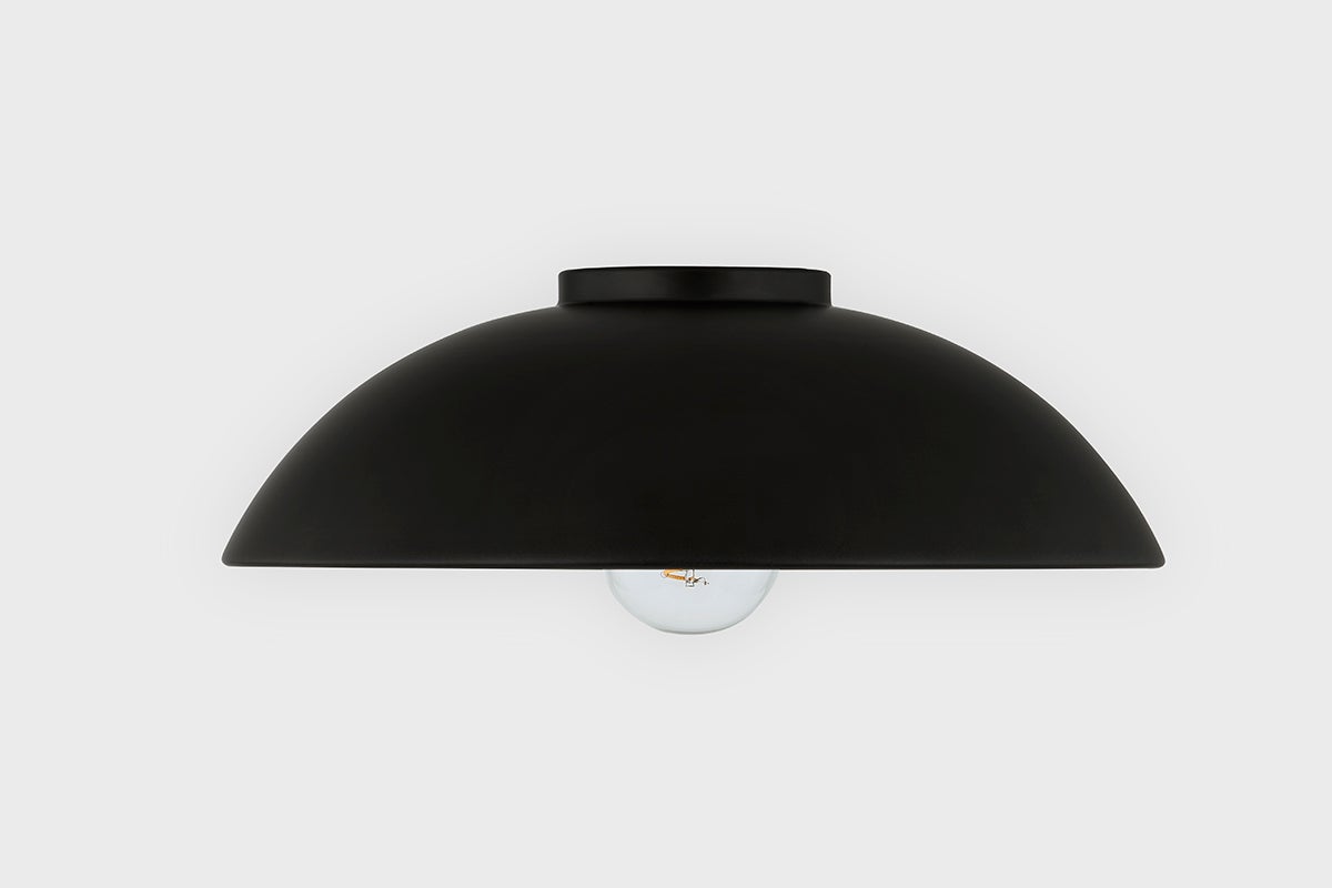 Eclipse Large Ceiling Light by Troy Lighting