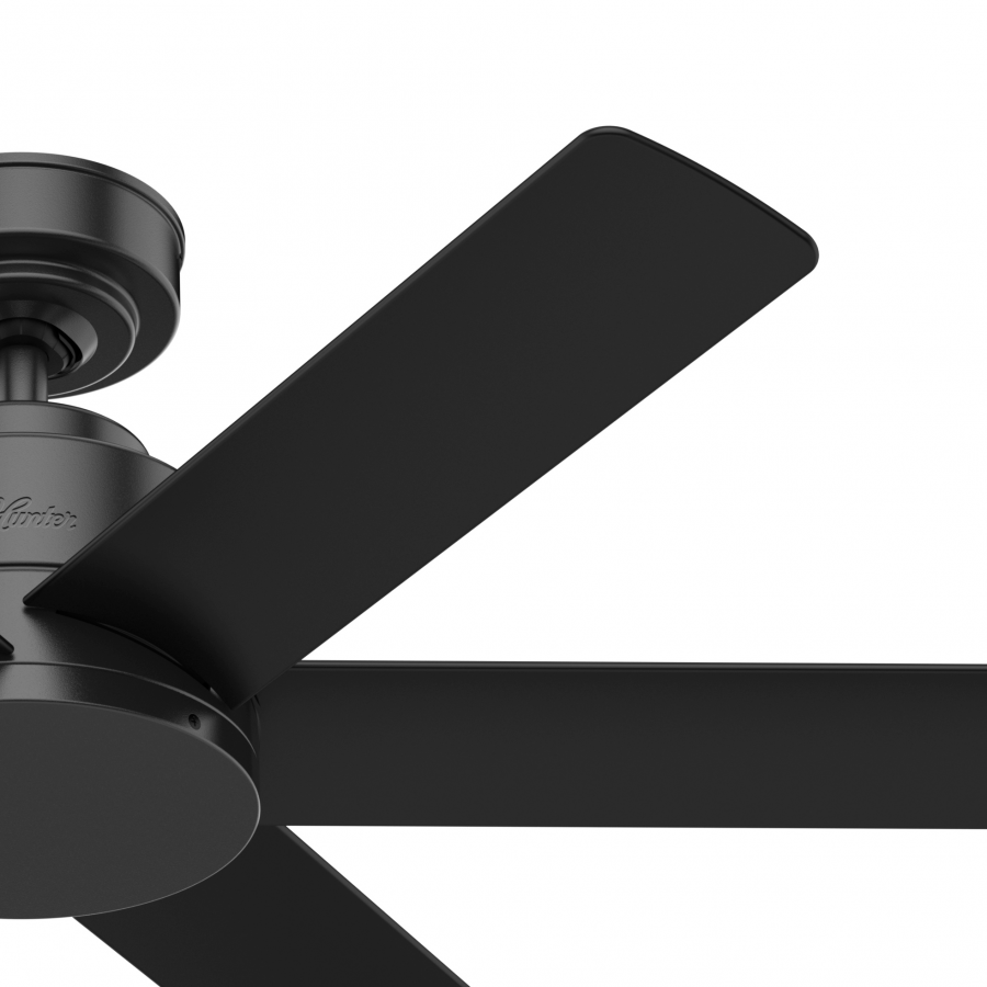 Kennicott Outdoor 44" Fan - Black by Hunter