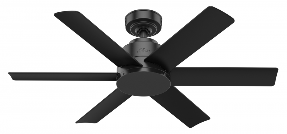 Kennicott Outdoor 44" Fan - Black by Hunter