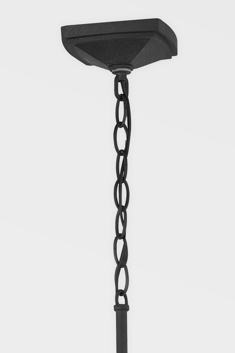 Lake County Outdoor Hanging Light by Troy Lighting