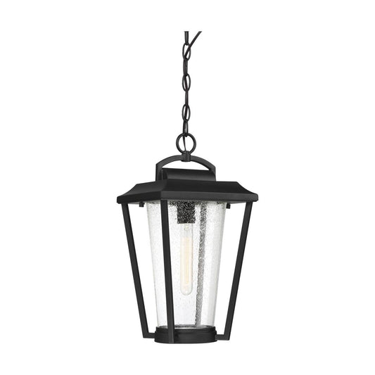 Lakeview - 1 Light Hanging Lantern with Clear Seed Glass - Aged Bronze Finish - Satco 60-6514