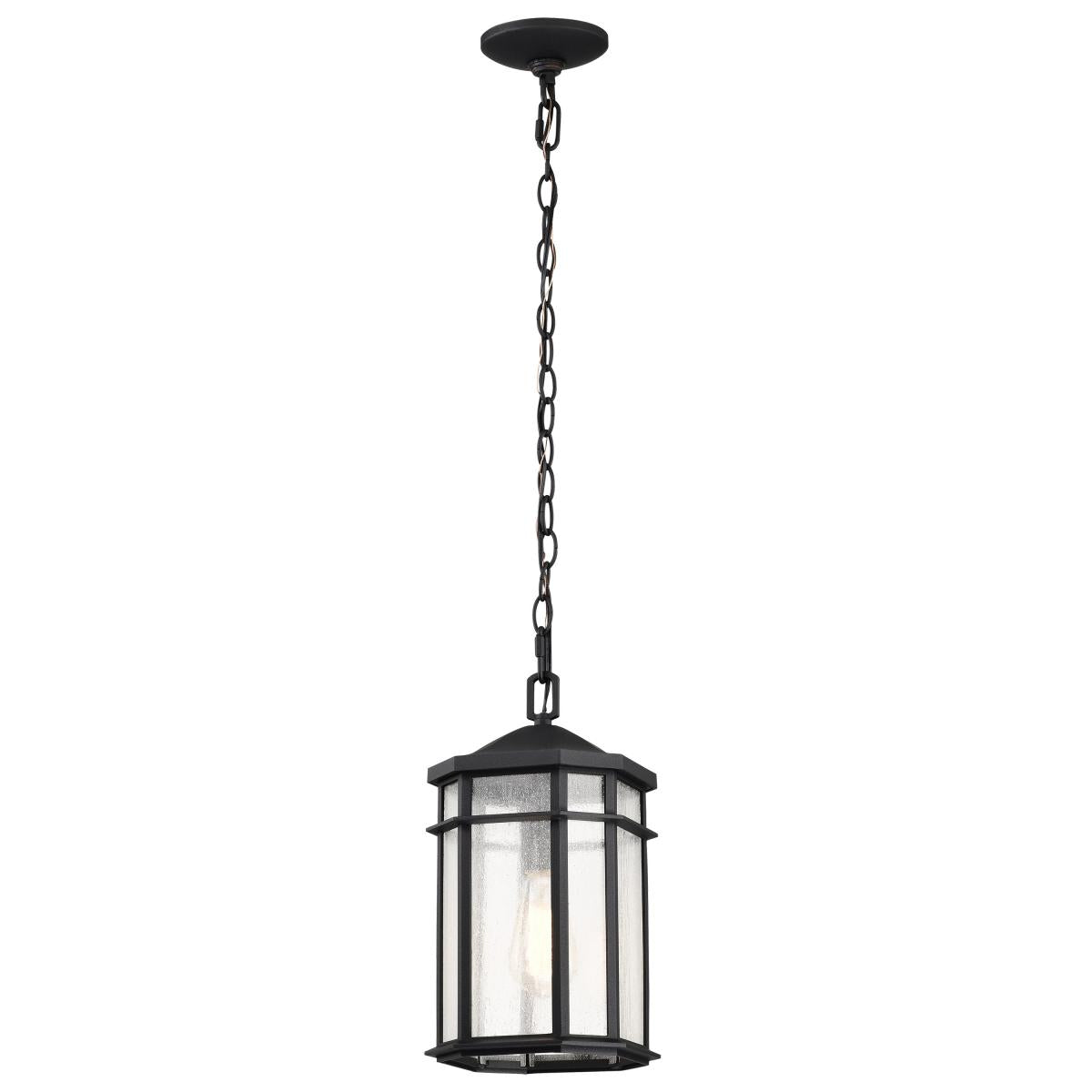 Raiden Collection Outdoor 14.5 inch Hanging Light - Matte Black Finish with Clear Seedy Glass - Satco 60-5759