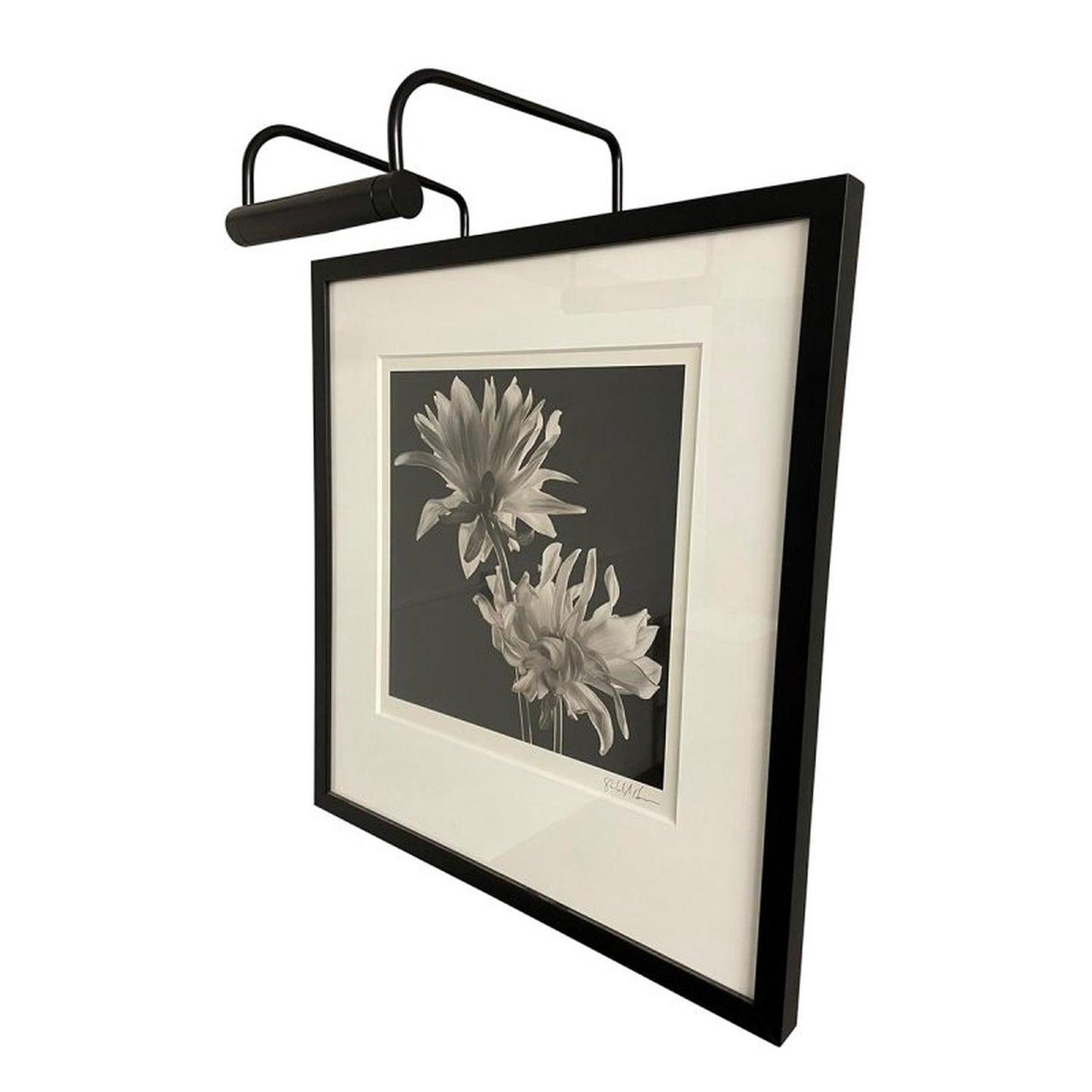 Slim-Line Picture Light - SL6-7 - Black by House of Troy