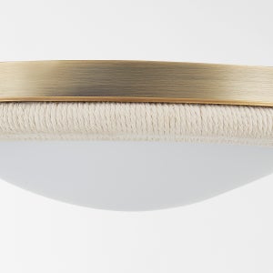 Zion Ceiling Light by Troy Lighting
