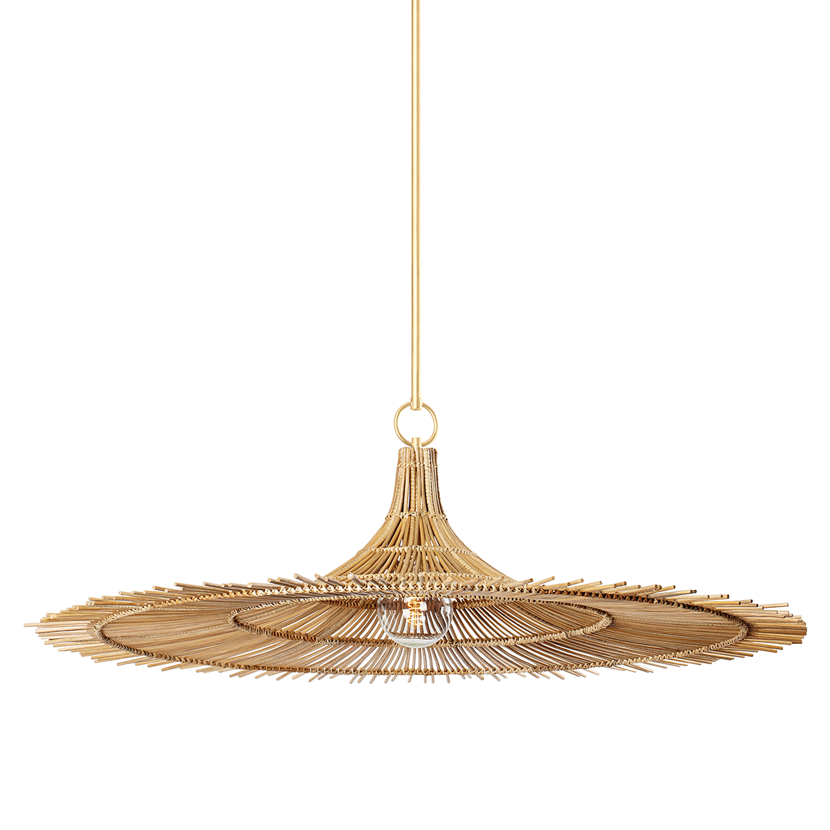 Troy Lighting pendant lights collection including single and multi-light designs that deliver striking illumination with artisan detail.