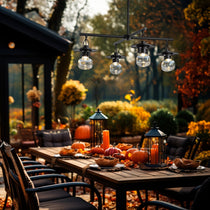 Outdoor Ceiling Lights