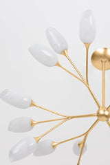 Aldean Chandelier By Troy Lighting, Nature-Inspired Design, 18 Bulb Capacity, Adjustable Height 20.75"-63