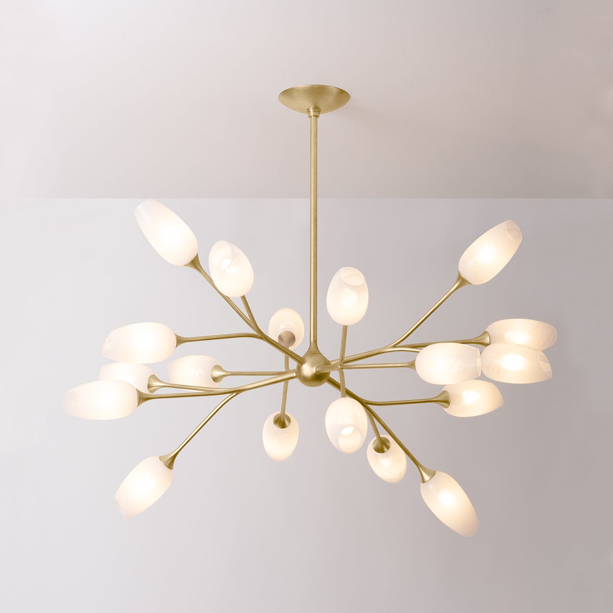 Aldean Chandelier By Troy Lighting, Nature-Inspired Design, 18 Bulb Capacity, Adjustable Height 20.75"-63