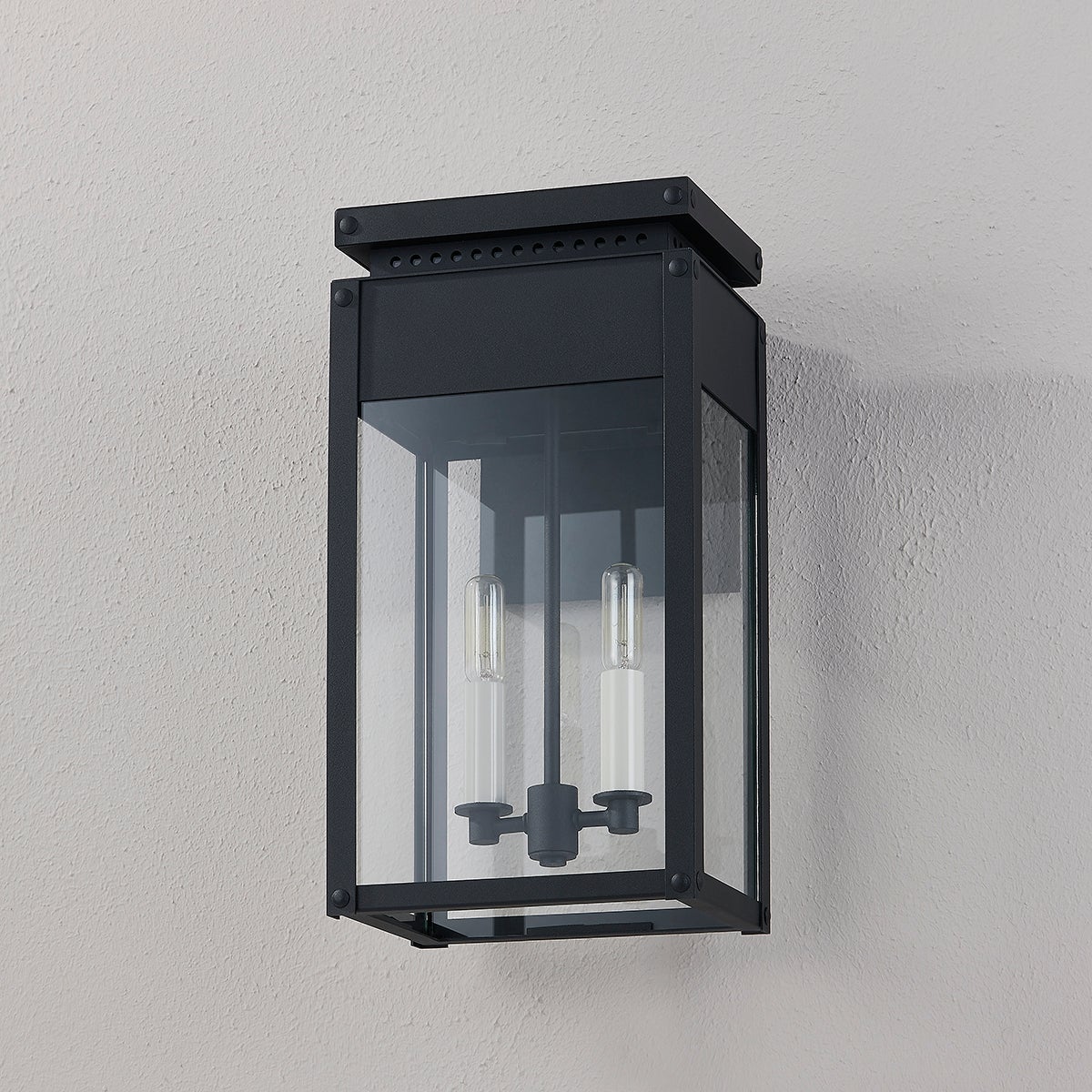 Braydan 17" Medium Outdoor Wall Sconce by Troy Lighting with Texture Black Metal Frame & Adjustable Lights