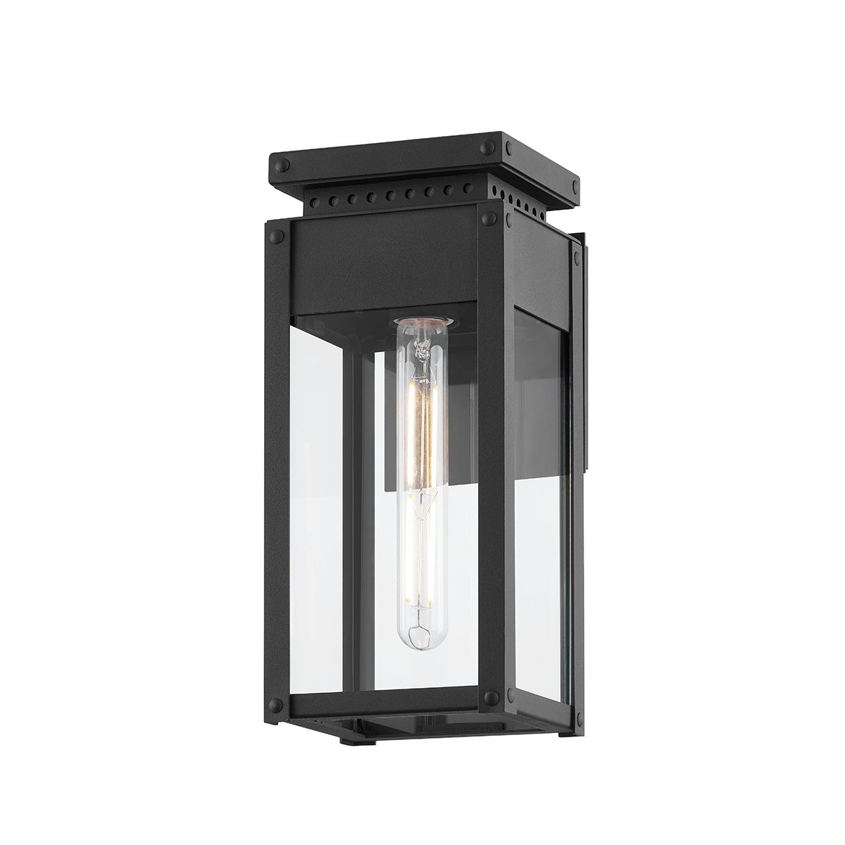 Braydan Outdoor Wall Sconce by Troy Lighting, 13" Height, Weather-Resistant, Texture Black Finish
