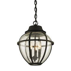 Bunker Hill Outdoor Hanging Light by Troy Lighting - Vintage Bronze, Dimmable, Clear Seeded Glass, Adjustable Height