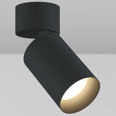 CY1 Cylinder Adjustable Wall Wash Ceiling Light