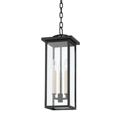 Troy Lighting Eden Outdoor Pendant - Textured Black, Part Number .