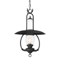 La Grange Outdoor Hanging Light 25.25" Height Rustic Vintage Lantern by Troy Lighting F9013-SFB
