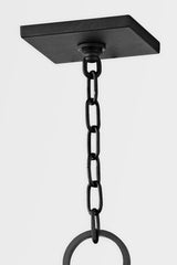 Longport 4-Light Outdoor Hanging Lantern by Troy Lighting, Dimmable, UL Wet Rated, Black Finish