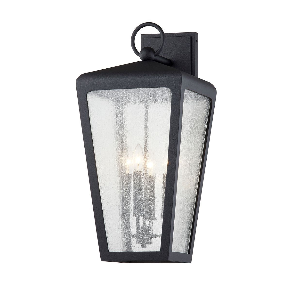 Mariden Large Outdoor Wall Sconce by Troy Lighting, Durable Design with Clear Seeded Glass Shade