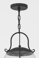 Napa County Outdoor Pendant Light by Troy Lighting, 4-Light, Clear Seeded Glass Shade, French Iron Finish