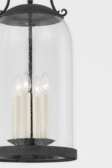 Napa County Outdoor Pendant Light by Troy Lighting, 4-Light, Clear Seeded Glass Shade, French Iron Finish