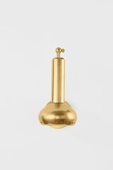 Roald Sconce 1-Light Adjustable Wall Light by Hudson Valley Lighting in Aged Brass & Distressed Bronze