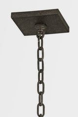 Sanders Outdoor Hanging Lantern by Troy Lighting, Dimmable, Cottage Style, French Iron Finish, 22.25”H, 4 Light Fixtures