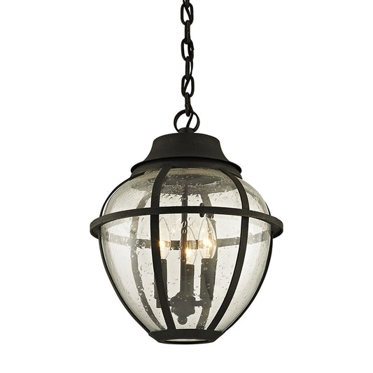 Bunker Hill Outdoor Hanging Light by Troy Lighting