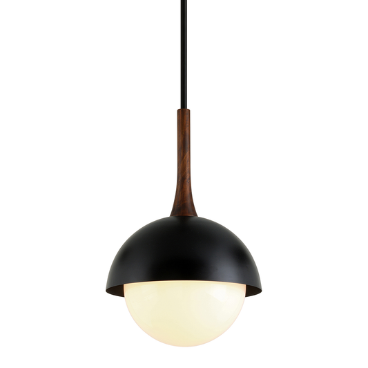 Cadet Pendant - 1-Light - Soft Black - Troy Lighting F7644-SBK