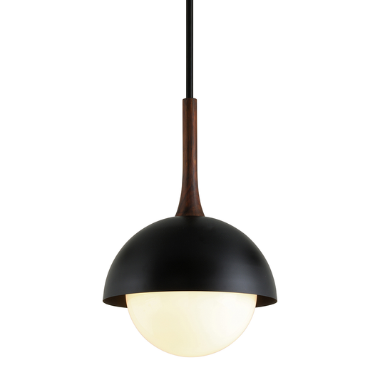 Cadet Pendant - 1-Light - Soft Black - Troy Lighting F7645-SBK