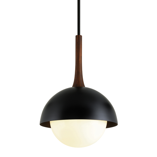 Cadet Pendant - 1-Light - Soft Black - Troy Lighting F7646-SBK