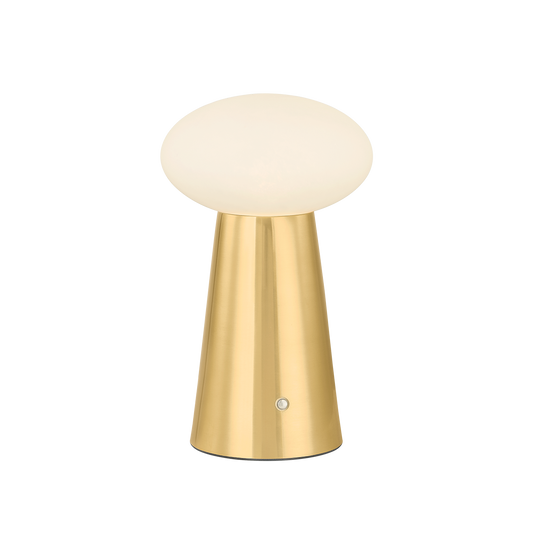 Cashel Rechargeable Table Lamp - Aged Brass by Hudson Valley Lighting