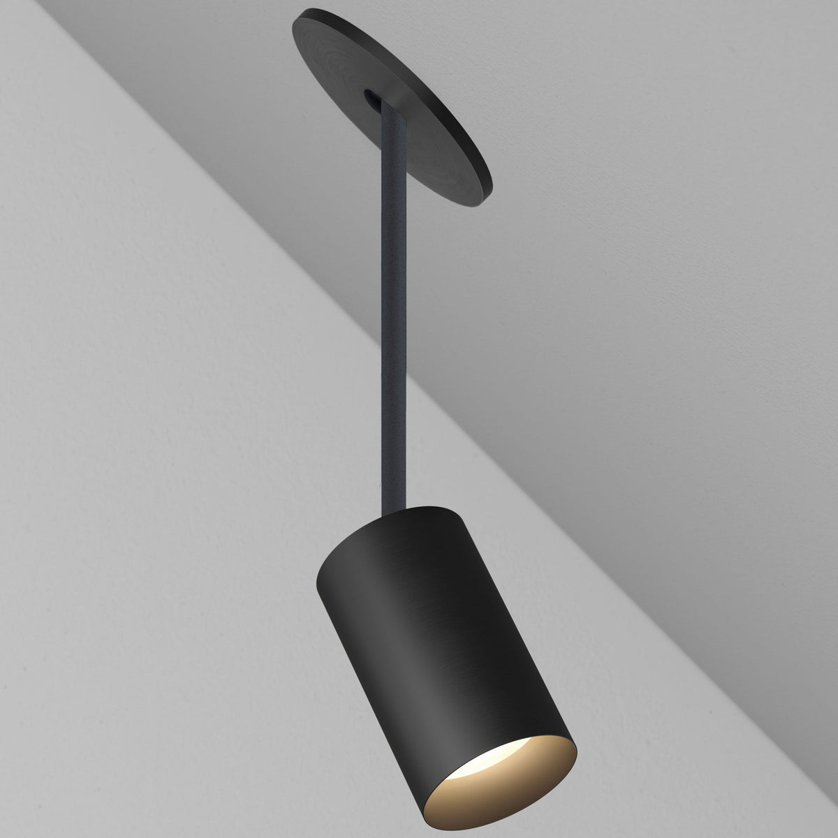 Obsidian Ceiling CM1 Cylinder Hang Straight Adjustable Ceiling Light - Remodel - Black ...