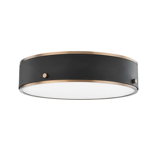 Eli Large Ceiling Light - Patina Brass/Soft Black by Troy Lighting
