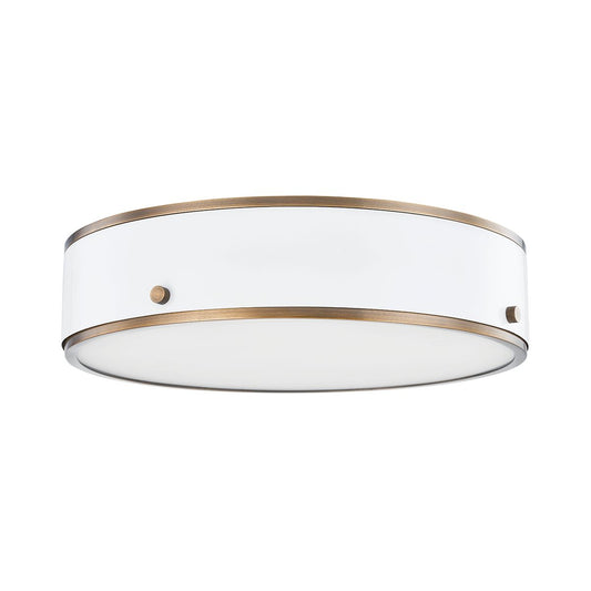 Eli Large Ceiling Light - Patina Brass/Soft White by Troy Lighting