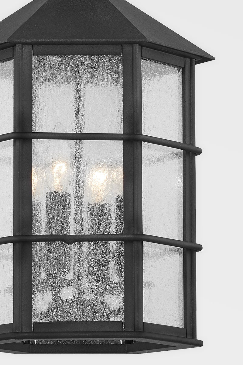 Lake County Outdoor Hanging Light by Troy Lighting