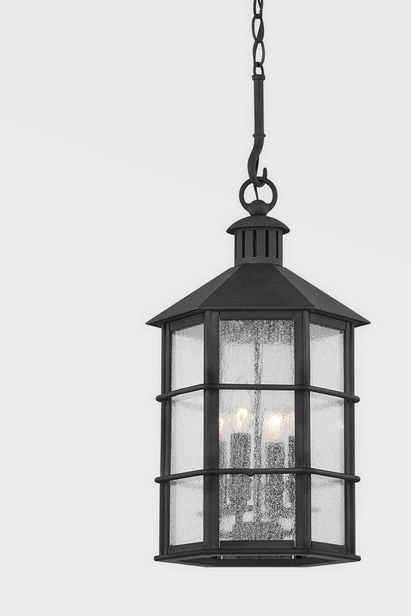 Lake County Outdoor Hanging Light by Troy Lighting