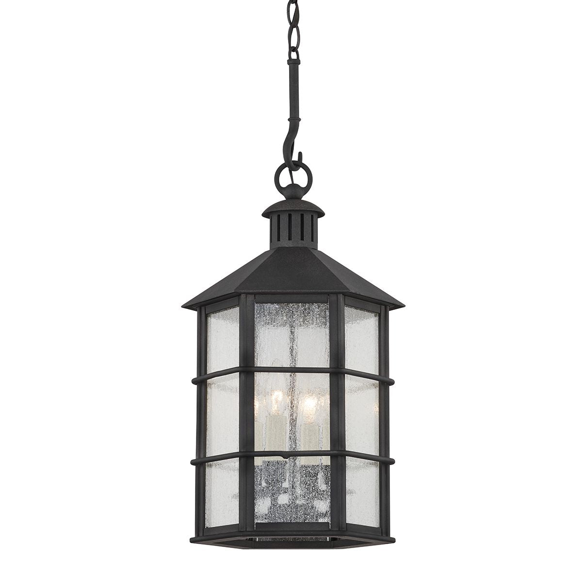 Lake County Outdoor Hanging Light by Troy Lighting