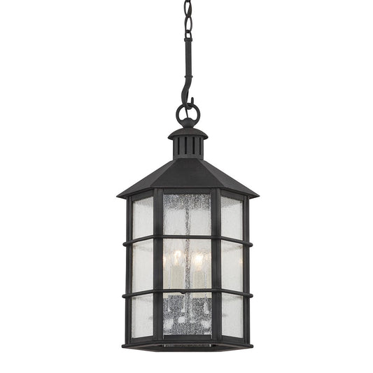 Lake County Outdoor Hanging Light by Troy Lighting