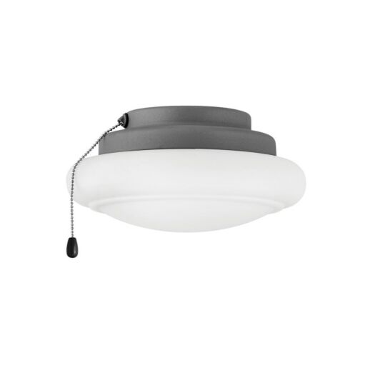Light Kit Low Profile - Graphite by Hinkley Lighting