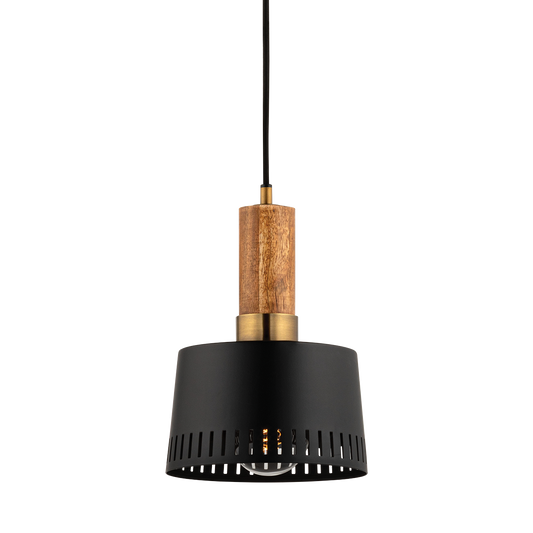 Memphis Pendant - 1-Light - Patina Brass - Troy Lighting F8608-PBR/SBK