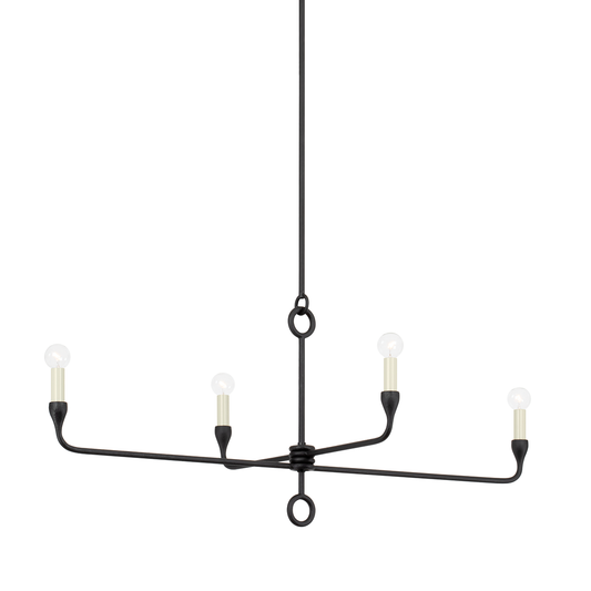 Orson Linear - 4-Light - Black Iron - Troy Lighting F9544-BI