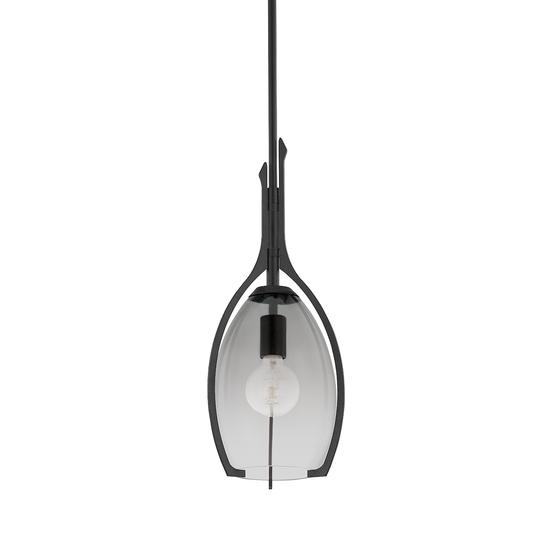 Pacifica Pendant - 1-Light - Forged Iron - Troy Lighting F8309-FOR