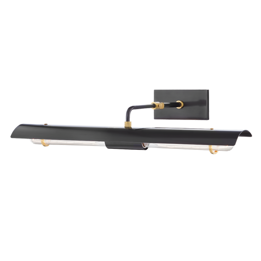 Raelynn Picture Light - 2-Light - Aged Old Bronze - Mitzi H741102B-AOB