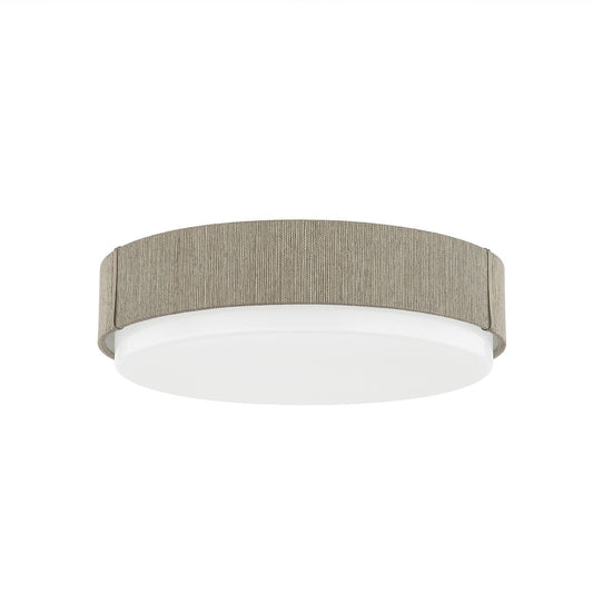 Zane Ceiling Light by Troy Lighting